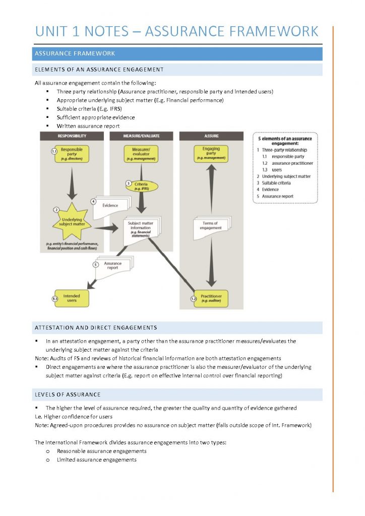 CA Audit and Assurance (AAA) notes with critical file