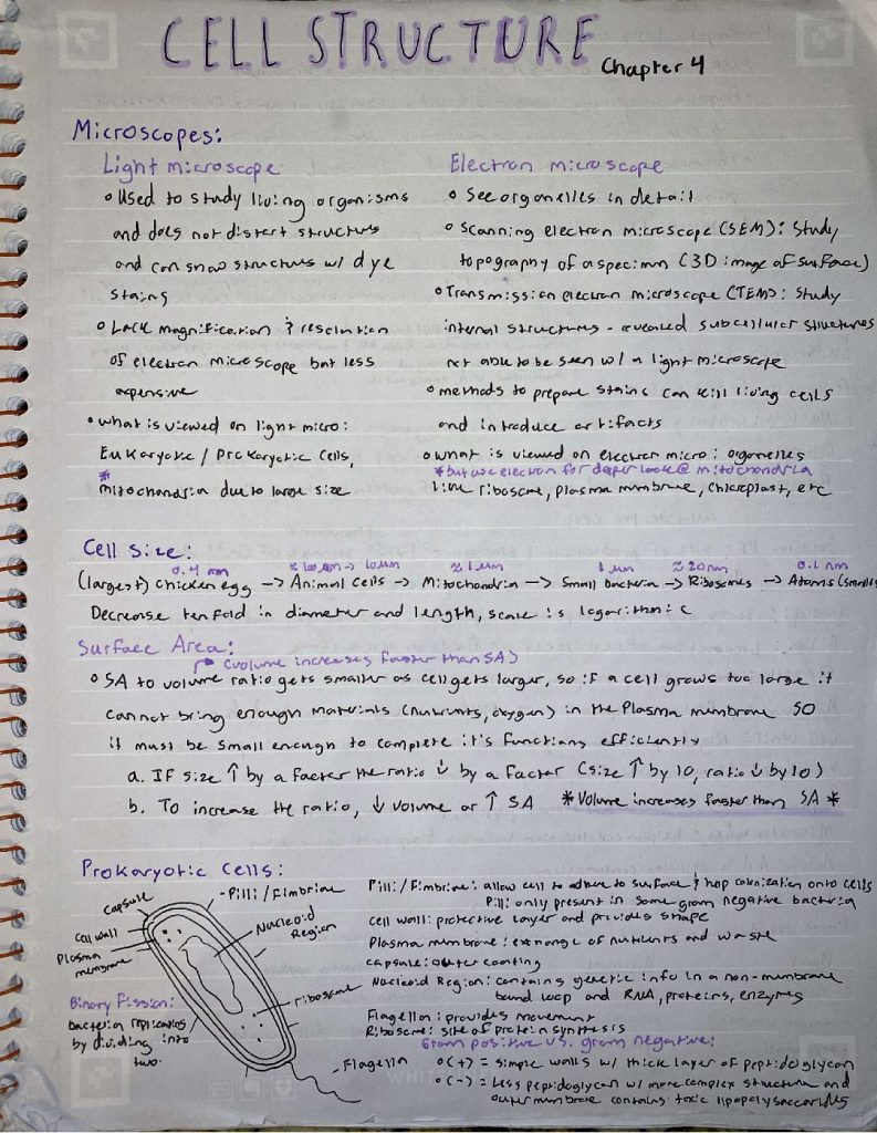 Biology for Science Majors (BIOL 1110 & BIOL 1111) lecture notes