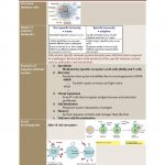 ETH Molecular Disease Mechanisms summary notes