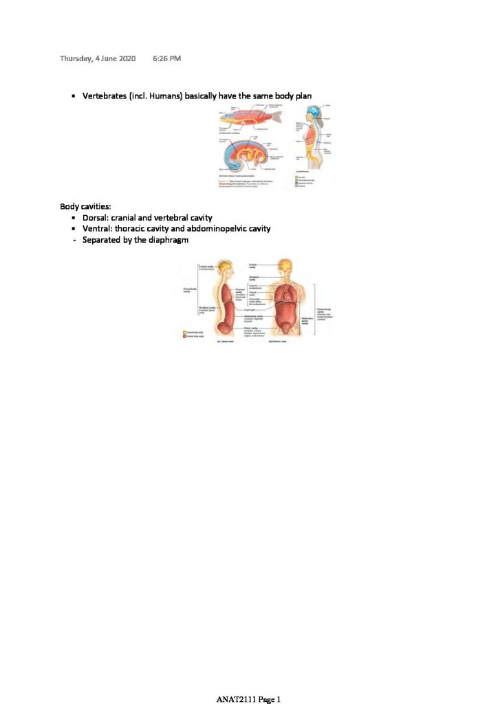 Introductory Anatomy (ANAT2111) notes with practice questions