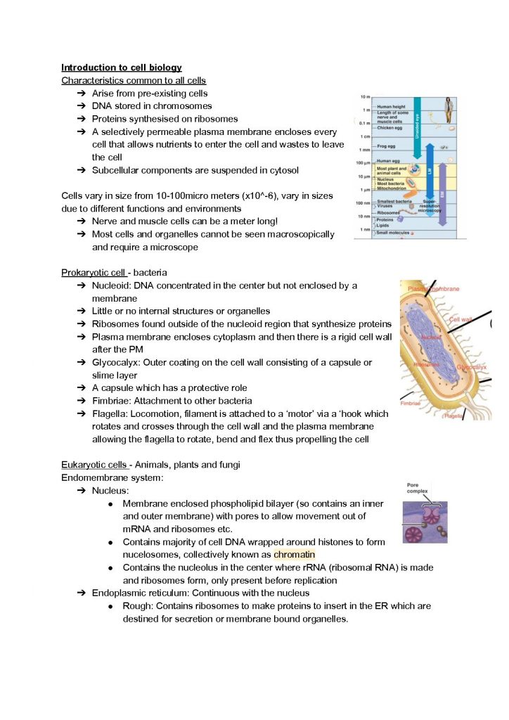 Life! Origins and Mechanisms (BIOSCI 101) full semester notes