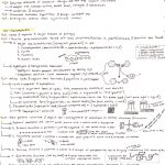 BIOL 101: Principles of Biology study guides for all Tests