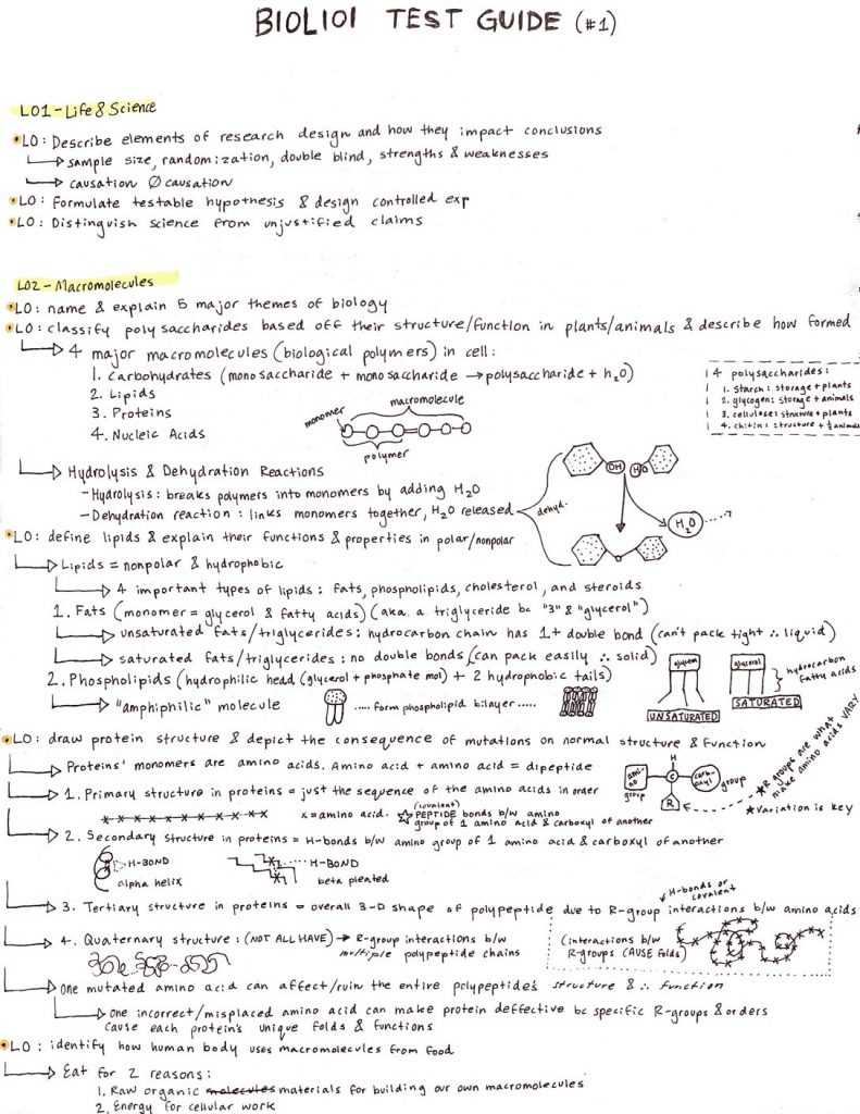 BIOL 101: Principles of Biology study guides for all Tests