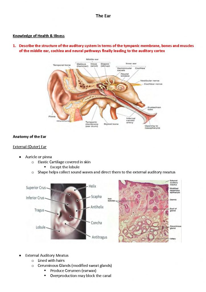 McMaster MD Program Year 1 problem-based learning (PBL) notes