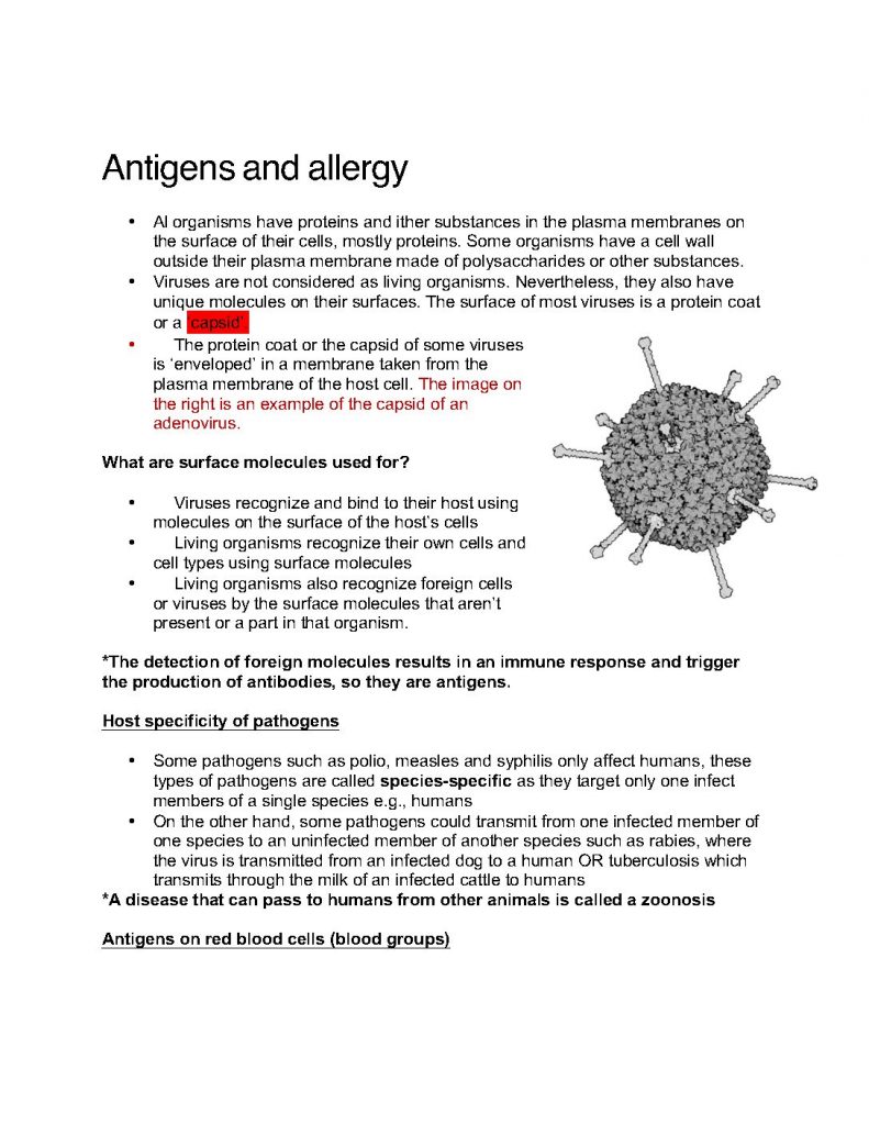 Animal Physiology – IB Biology (HL) Topic 11 complete exam notes