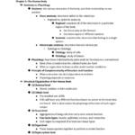 Human Anatomy And Physiology I (BIOL 251) all exam notes