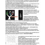 Cells to Organisms 2 (BIME08011) complete notes