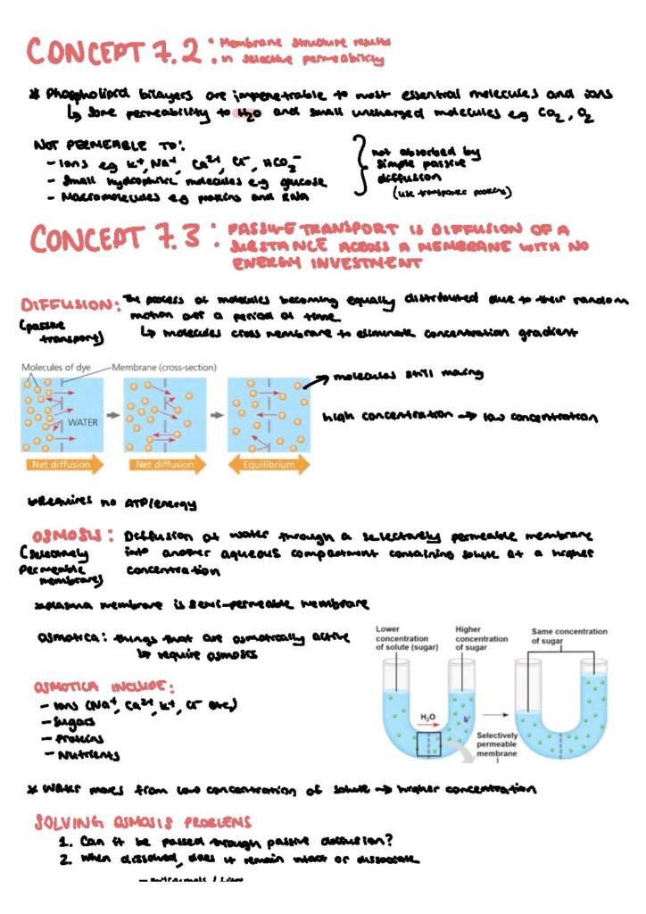 Cells to Organisms (BIOL1040) all module notes