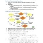 Intermediate Macroeconomics (ECOS2002) comprehensive exam notes