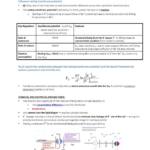 Neural Information Processing (NEUR3006) summary and practicals