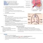 Physiological Systems (BSc Human Physiology) complete lecture notes