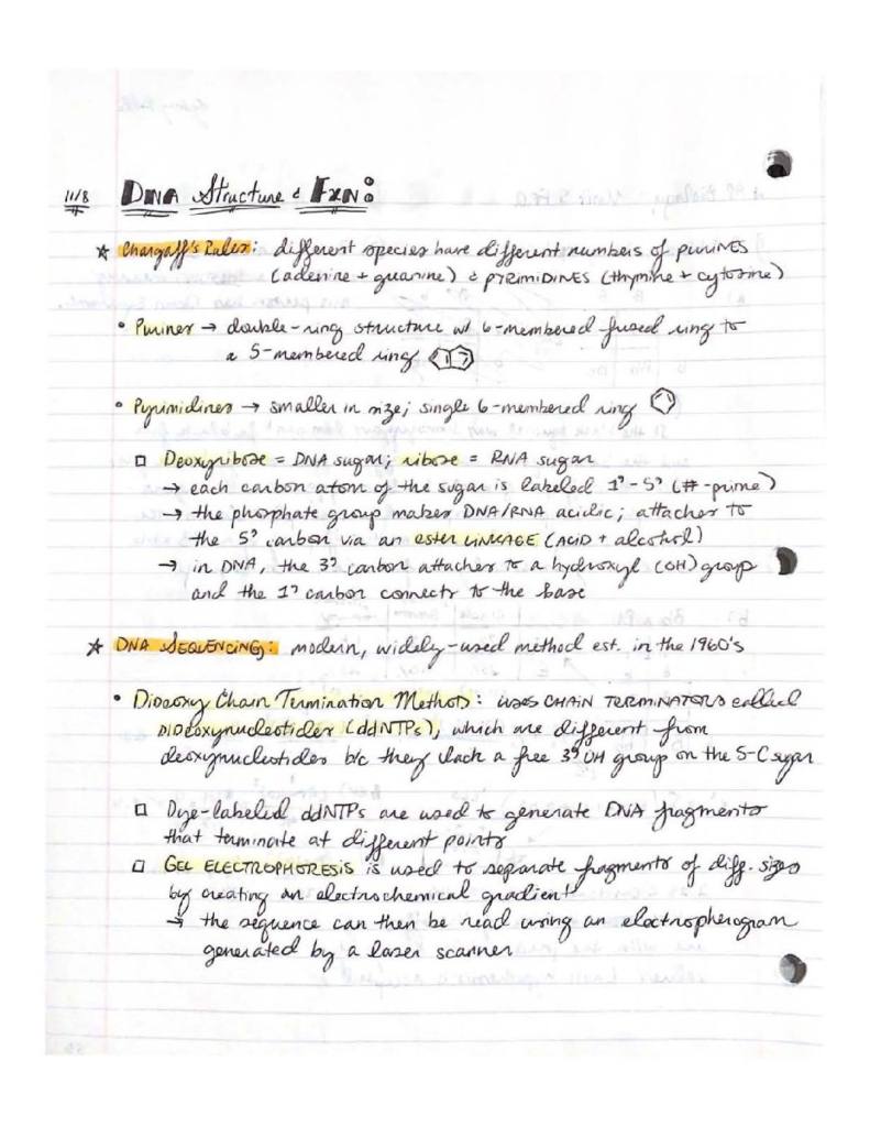 AP Biology 2020 complete notes