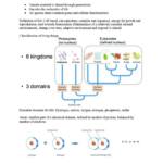 From Molecules to Ecosystems (BIOL1007) complete course notes