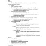 Introduction to Neuroscience (NSCI 320) exam notes