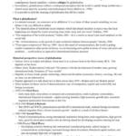 International Relations (5AAOB205) lecture and reading notes