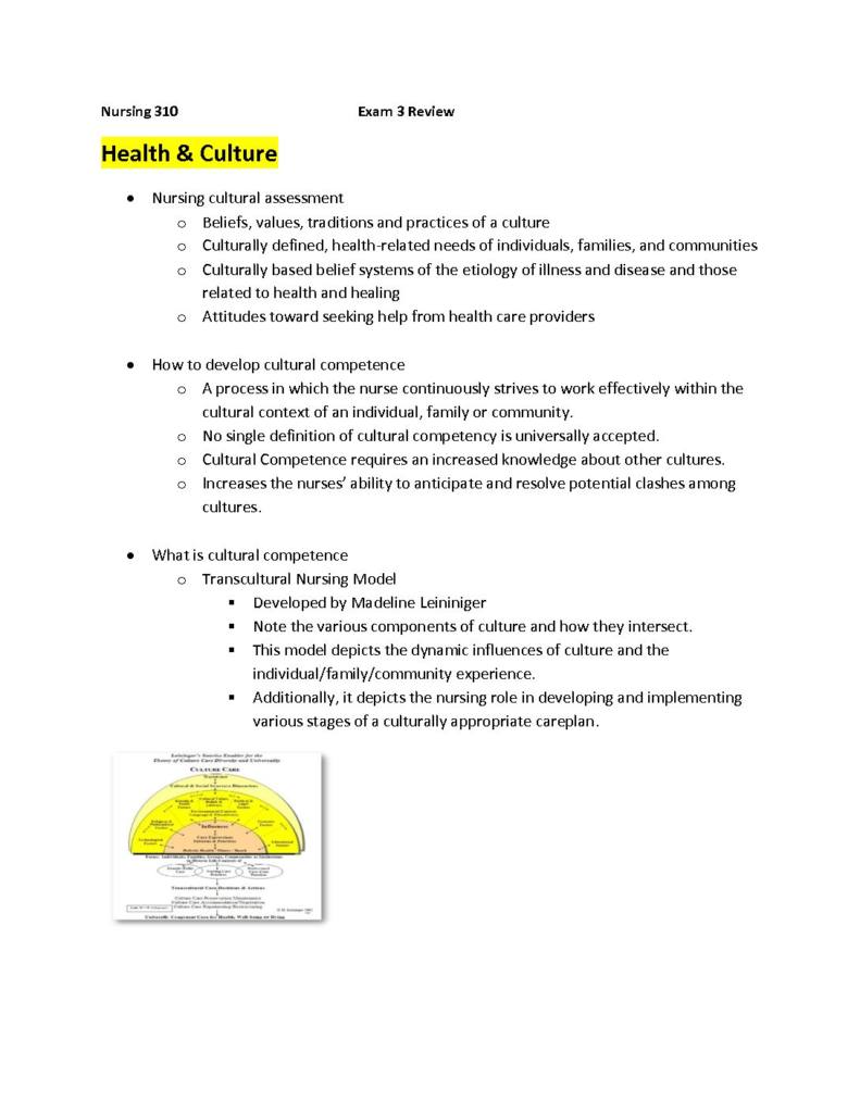 Professional Role of the Registered Nurse (NURS 310) final exam review