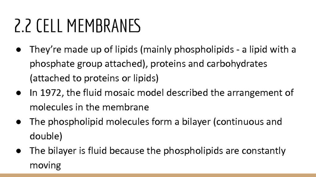 Topic 2: Genes and Health notes – Edexcel A Level Biology A (Salters-Nuffield)