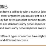 Topic 8: Grey Matter notes – Edexcel A Level Biology A (Salters-Nuffield)