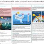 Edexcel AL Geography Topic 6: The Carbon Cycle and Energy Security revision notes