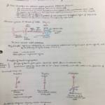 Survey of Biochem & Molecular Biology (MCB 102) complete A+ notes