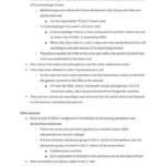 Nucleic Acids: IB Biology HL Topic 7 complete notes