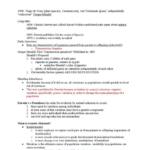 Genetics (BIO 2450) exam 1 review