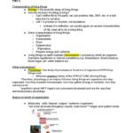 Vertebrate Physiology (BIO 3421) exam 1 review