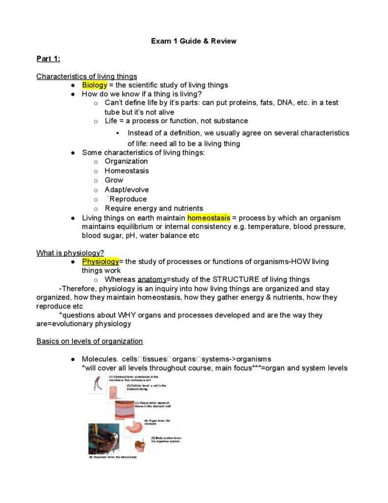 Vertebrate Physiology (BIO 3421) exam 1 review