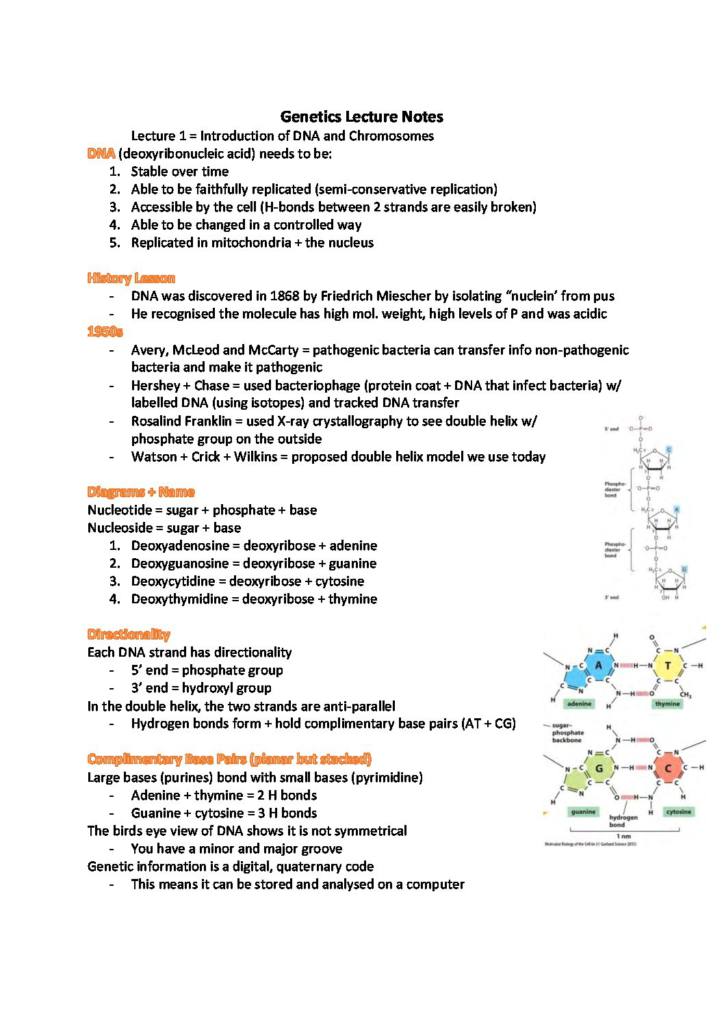 Genetics (BIO1334) BSc Biochemistry lecture notes