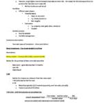 Introduction to Investments (FINANCE 261) summary notes