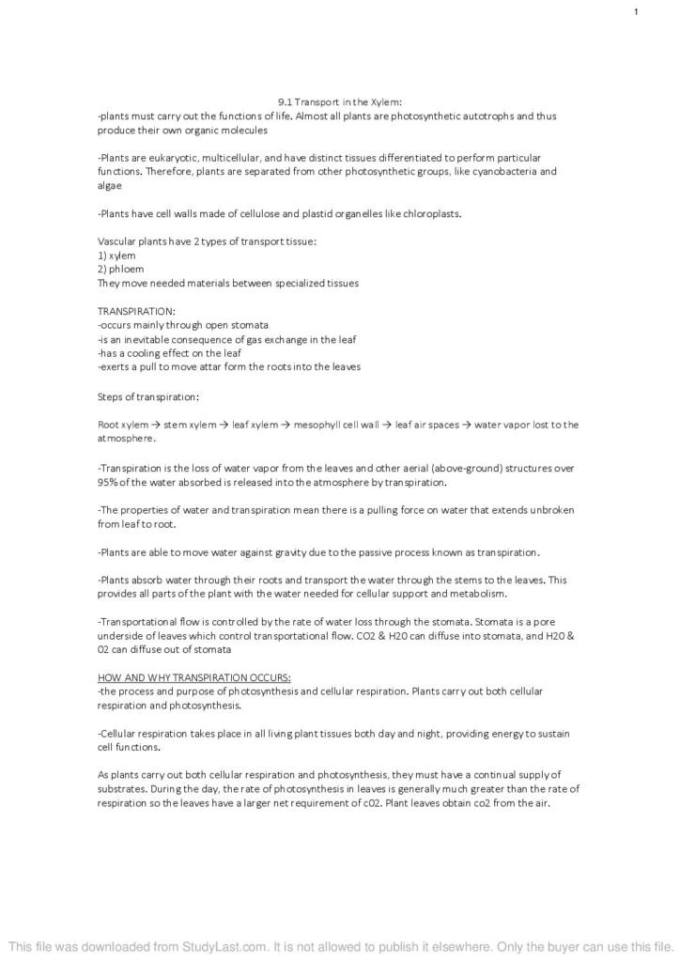 IB Biology HL Topic 9 (Plant Biology) comprehensive notes StudyLast
