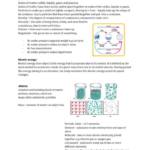 Science in Our World (SCIT140) exam notes
