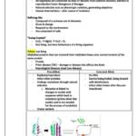 Biomolecules and Cells (BIOL10002) full course summary