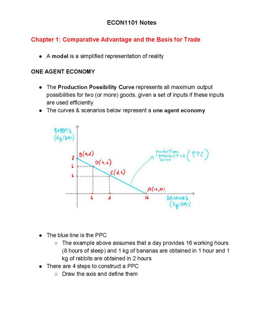 Microeconomics 1 (ECON1101) notes