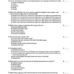 Essentials of Human Anatomy & Physiology 10e test bank
