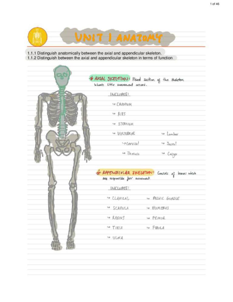 IB Sports, Exercise and Health Science (SL) all core summary SEHS notes