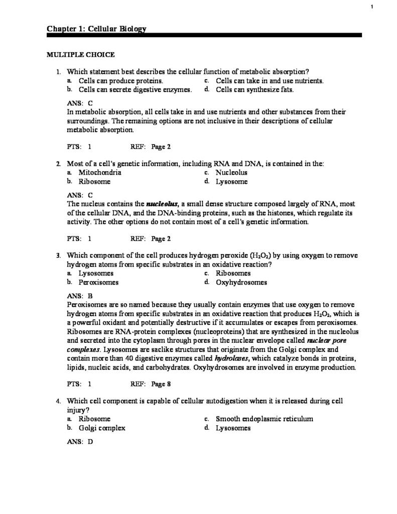 Pathophysiology 7th Edition test bank