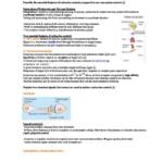 Veterinary Anatomy & Physiology (VAP) III Part 1 full notes