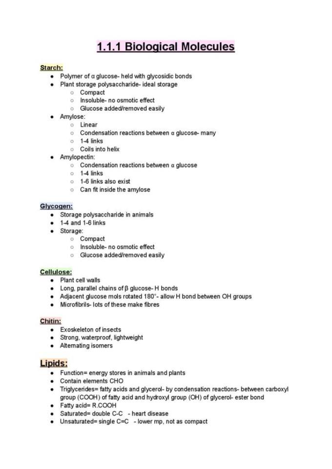 wjec-as-level-biology-unit-1-basic-biochemistry-and-cell-organisation