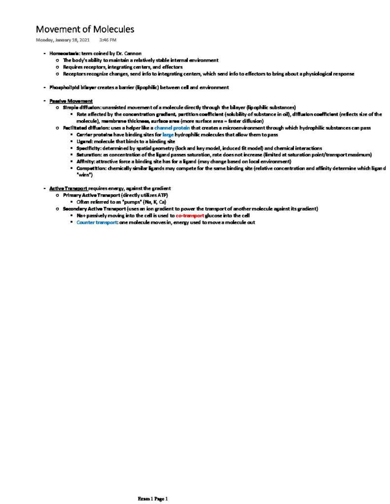 Human Physiology (BIO 3322) exam 1 notes