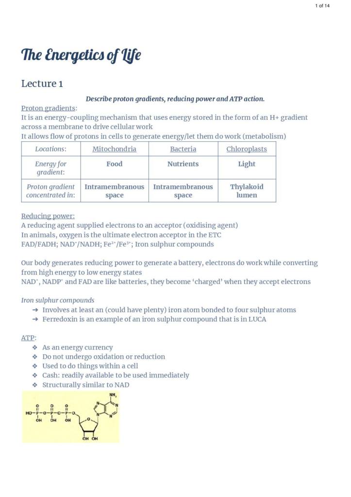 Energetics of Life (BIOSCI 106) mid semester test notes
