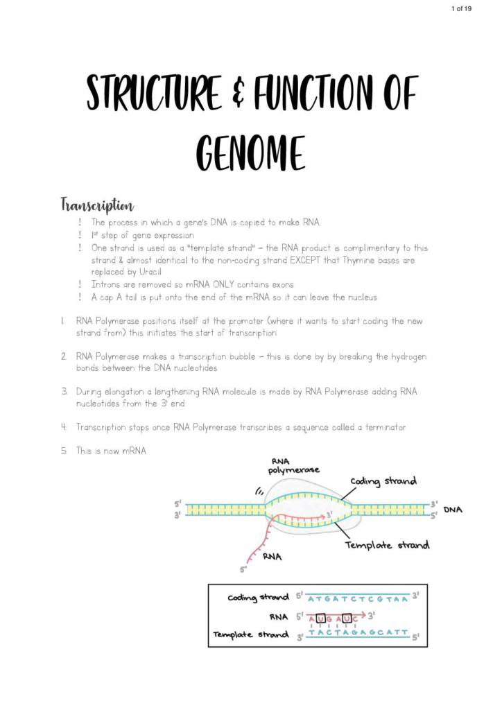 Genetics & Inherited Diseases (MBBS A100) notes