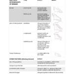 IB HL Economics full essay writing guide