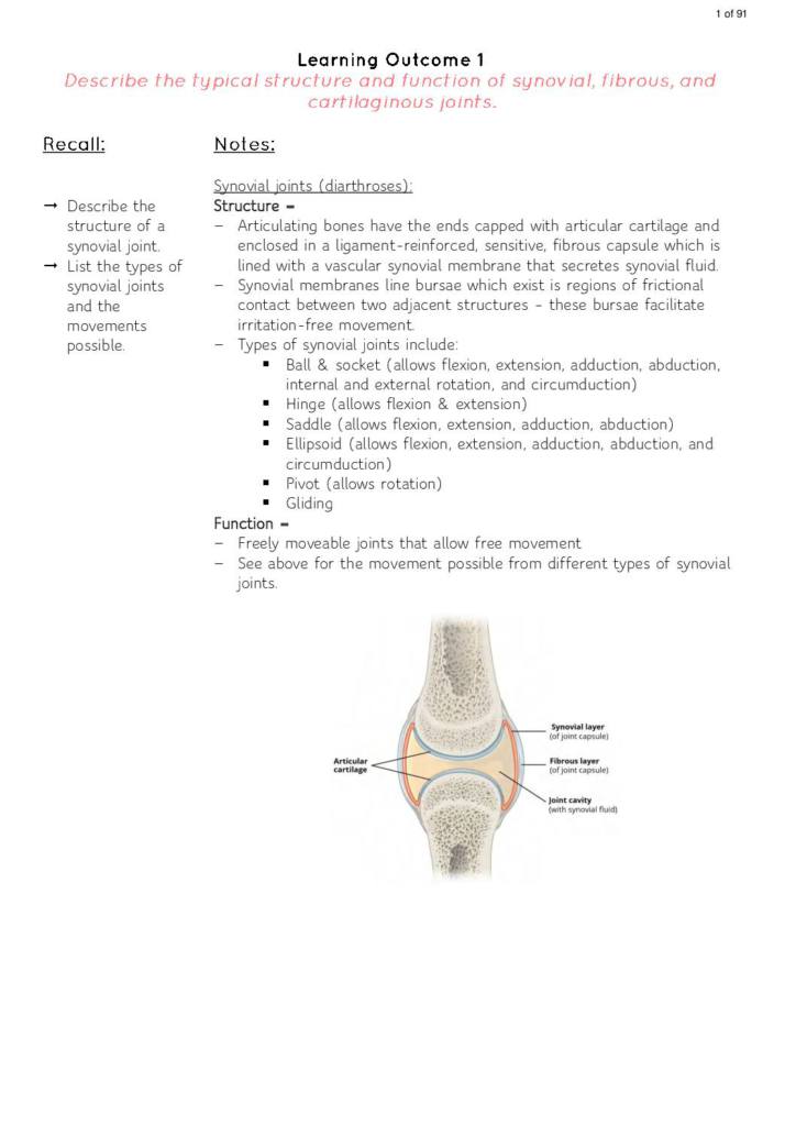 Anatomy under Locomotor (MEDI1033) notes