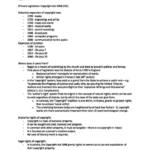 Copyright Law (LAWS5206) HD lecture notes