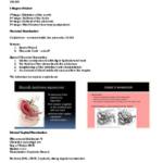 Advanced Maternal and Child Nursing I (Sem 1) notes
