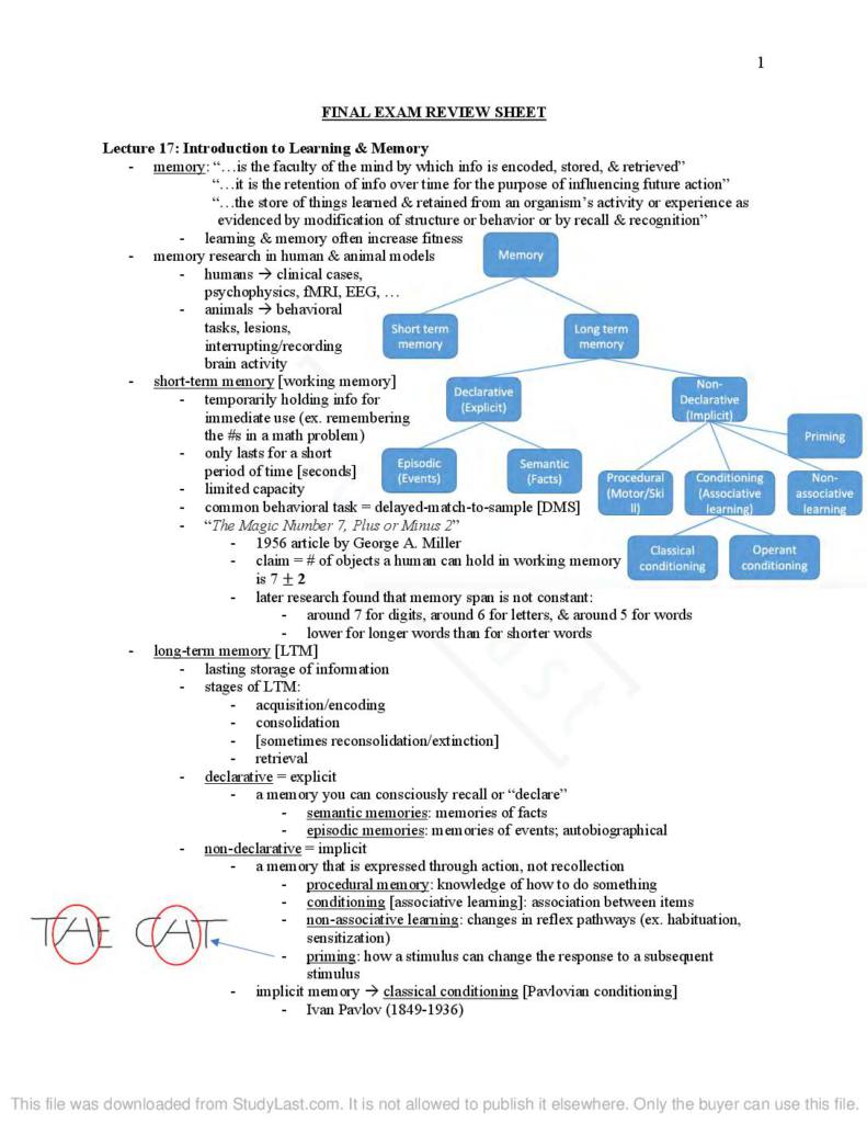 Introduction to Behavioral Neuroscience (PSYCH 230) final exam notes