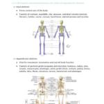 IB Sports, Exercise and Health Science (SEHS) SL notes