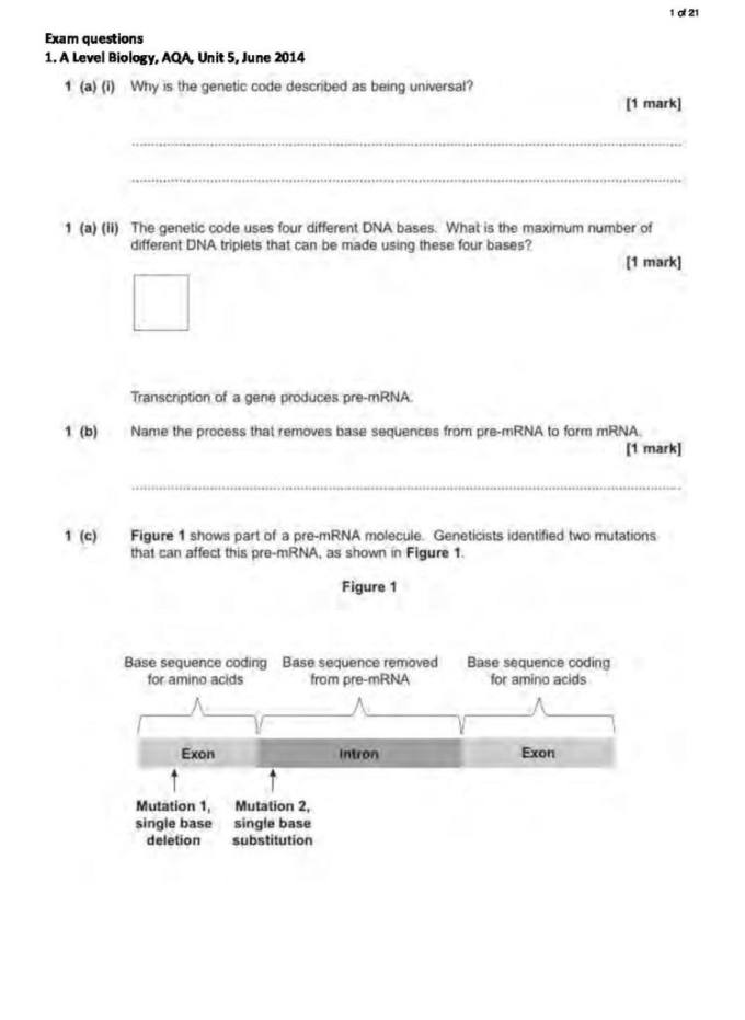 AQA A Level Biology DNA and Protein Synthesis past exam questions