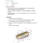 Biology of Cell and Organism (BIO1CO) notes